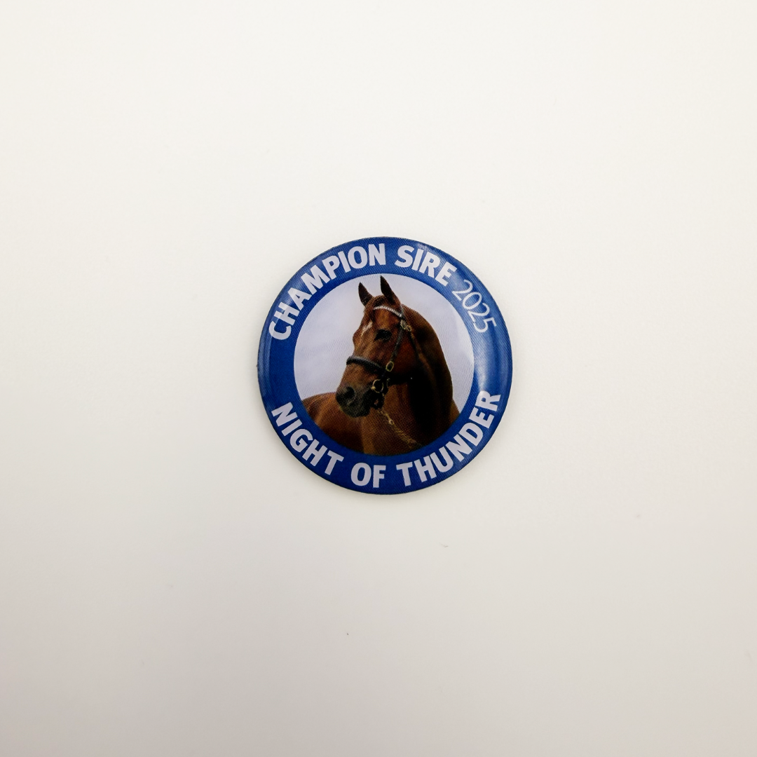 Night Of Thunder - Magnetic Pin Badge