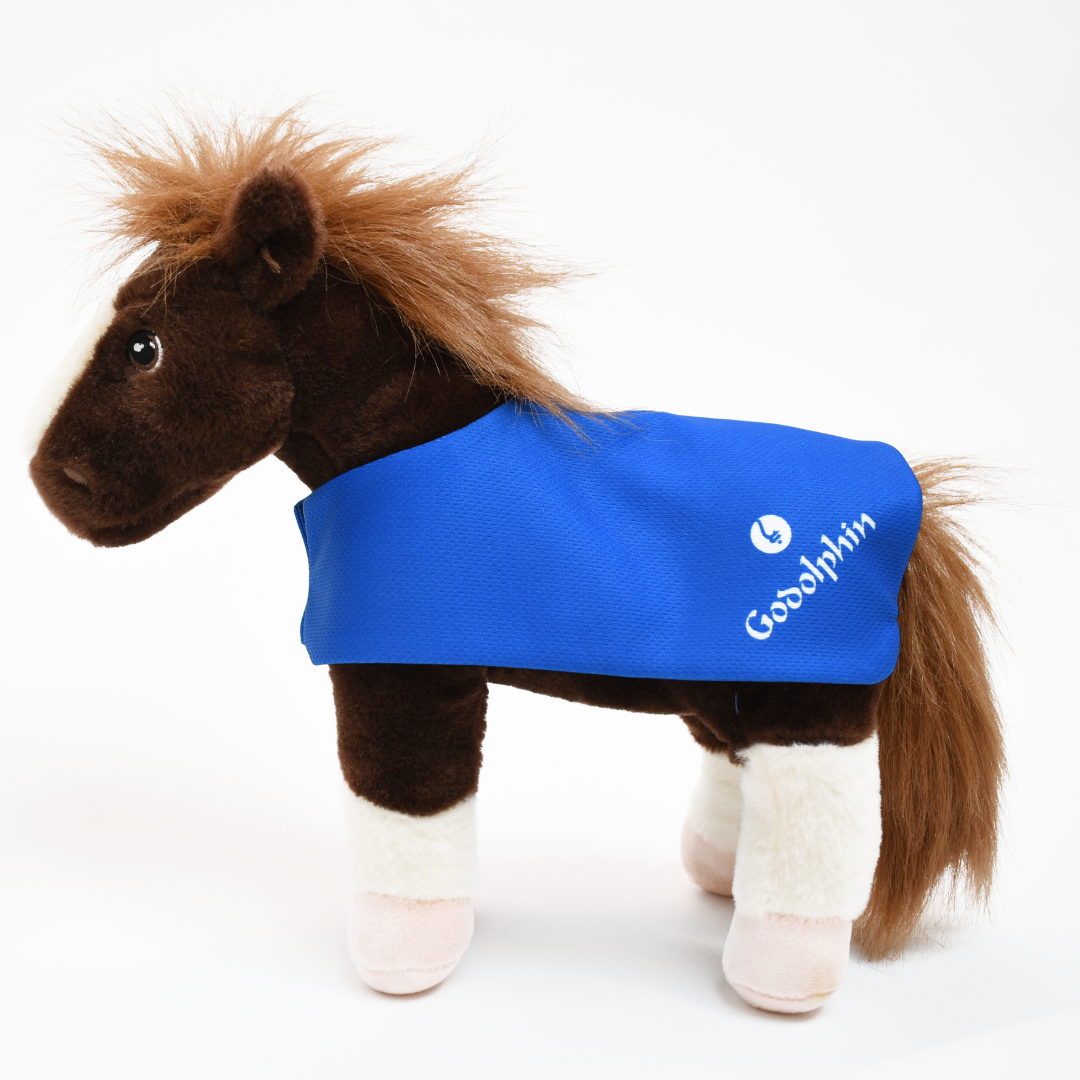 Godolphin Horse Plush Toy