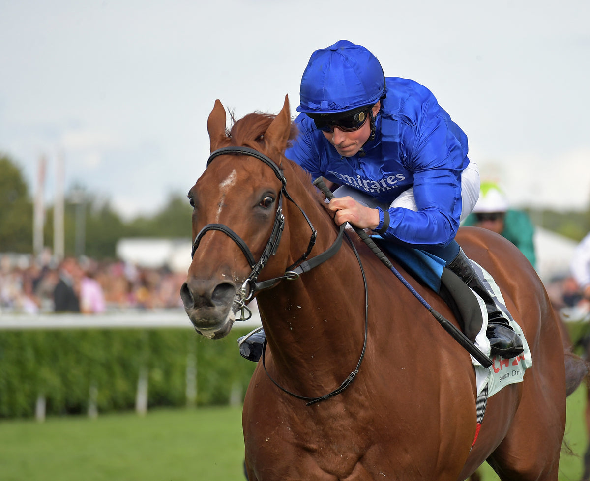 Godolphin Racing The Godolphin Shop