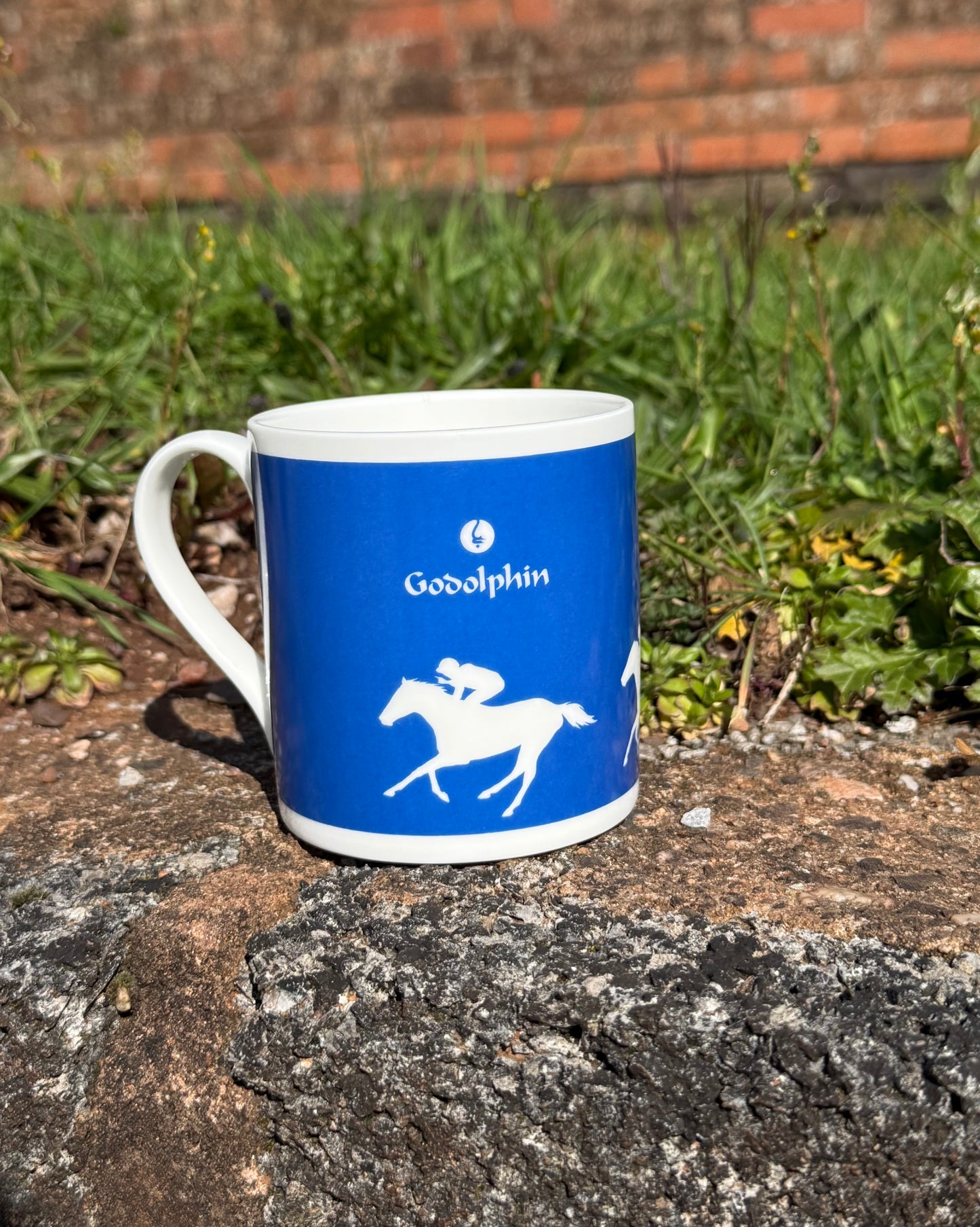 Godolphin Mugs
