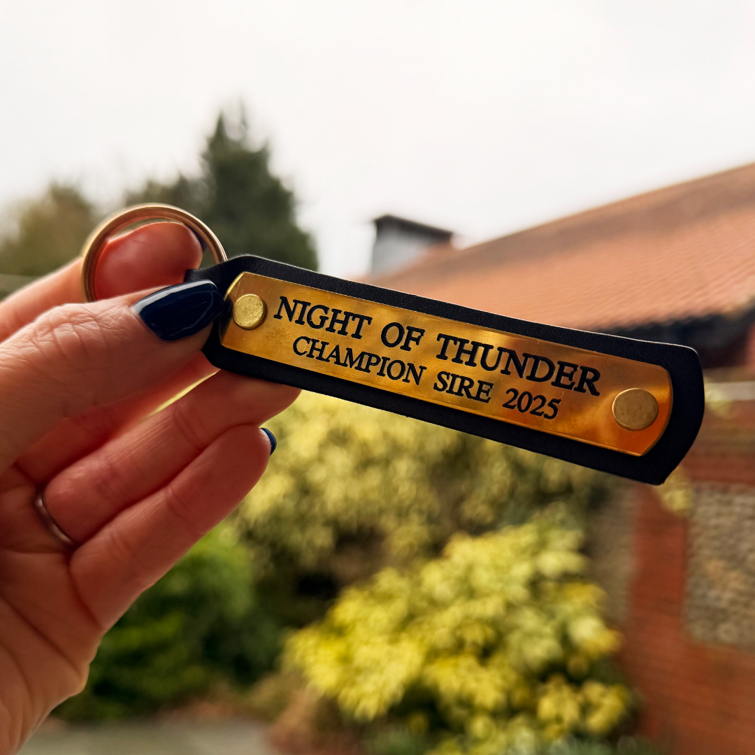 Leather Keyring - Night Of Thunder